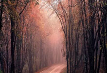 欧博官网:记者谈老佛爷金球奖言论:他患有梅西恐惧症.