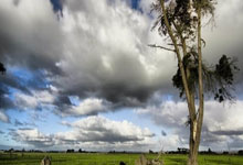 [法甲]补时绝杀 欧赛尔逆转尼斯.