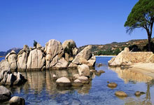 联想集团副总裁姚振宇:体育是AI落地的最佳赛道3-22 18:25.